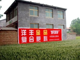 奉新如何让墙体广告展现最大化效果
