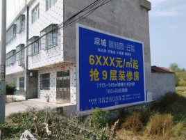 奉新墙体广告质量分析