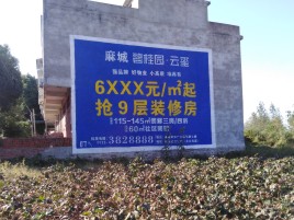 奉新品牌公司青睐的墙体广告