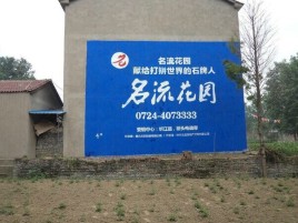 奉新农村墙体广告的长尾效应