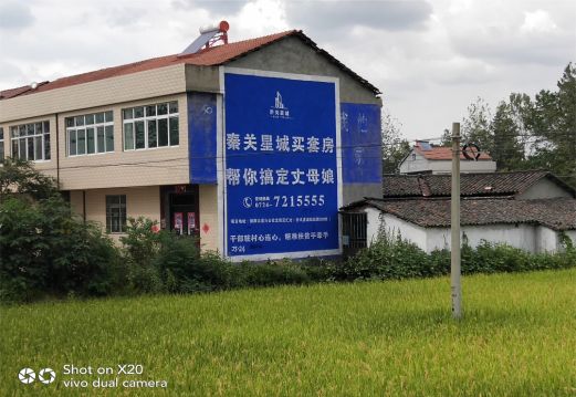 奉新决定墙体广告价格的因素有哪些？
