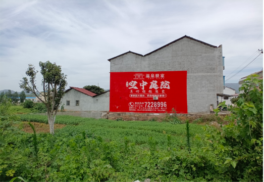 奉新做墙体广告的意义