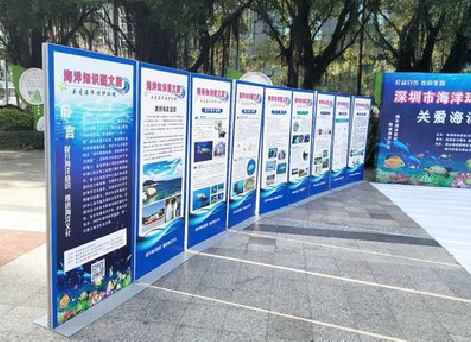 奉新KT板的种类和知识。